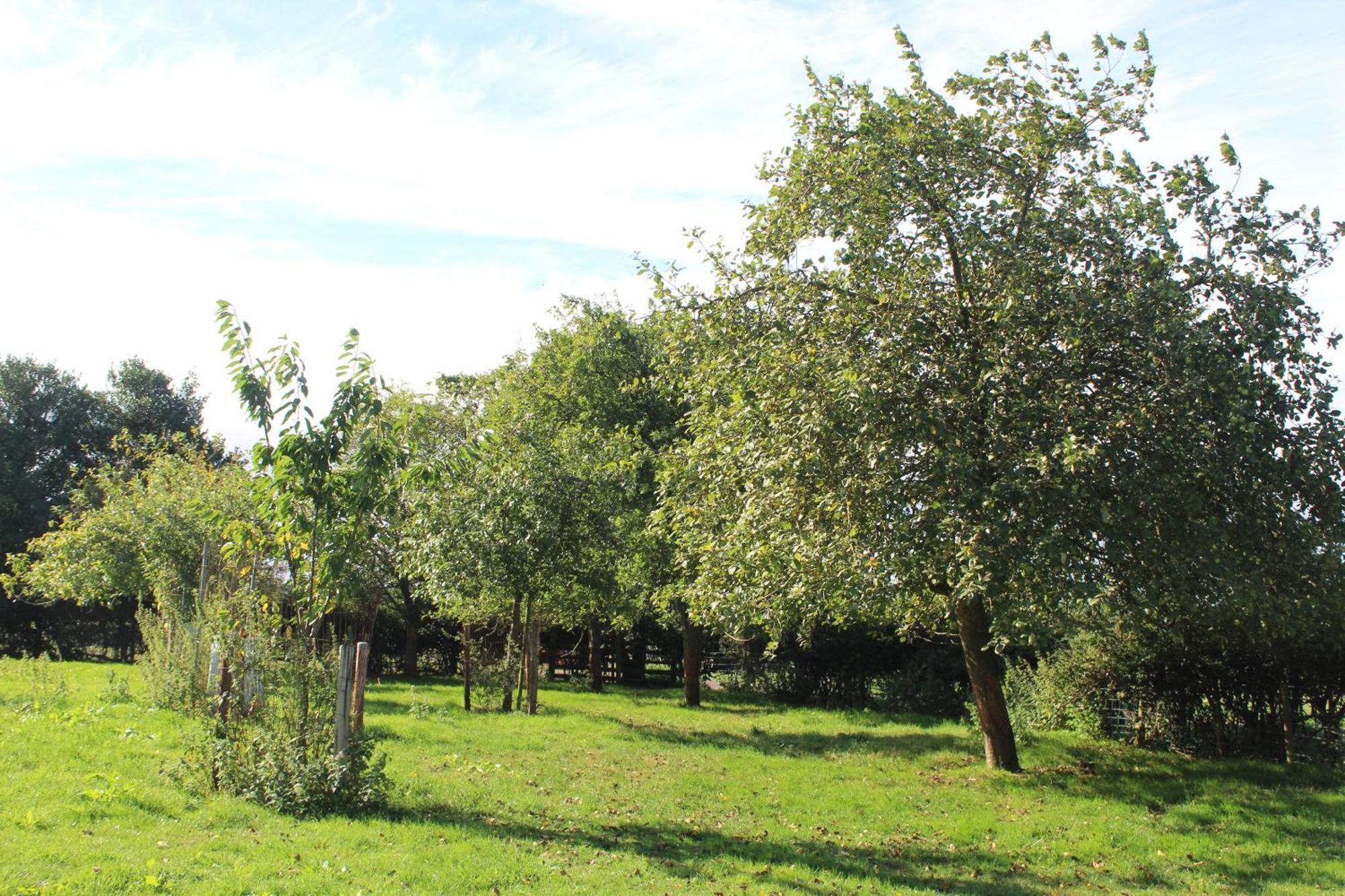 Parkfields Barns Self Catering Accommodation Μπάκινγχαμ Εξωτερικό φωτογραφία